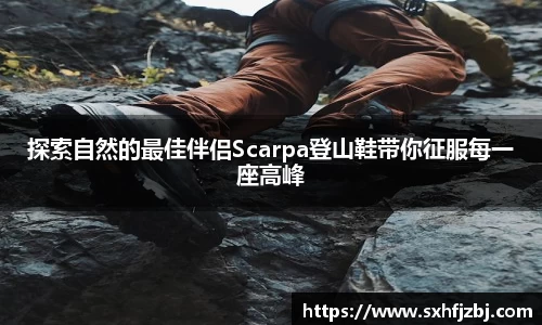 球友体育官网版