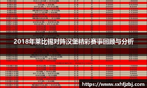 2018年莱比锡对阵汉堡精彩赛事回顾与分析