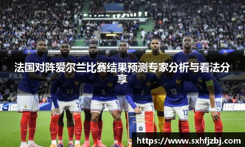 法国对阵爱尔兰比赛结果预测专家分析与看法分享